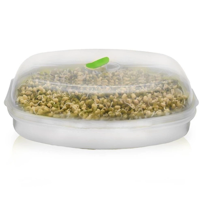ORION SEED GERMINATOR container for shoots with sieve and lid